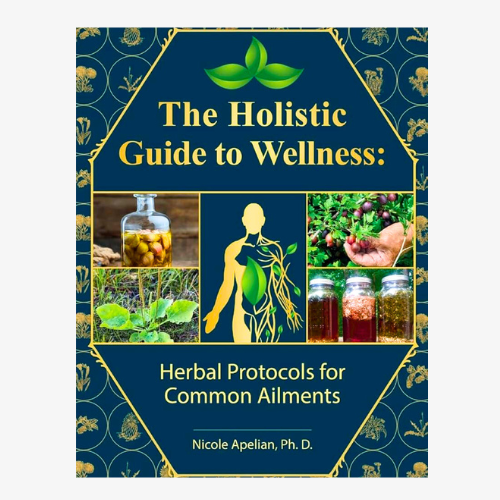 The Holistic Guide to Wellness: Herbal Protocols for Common Ailments