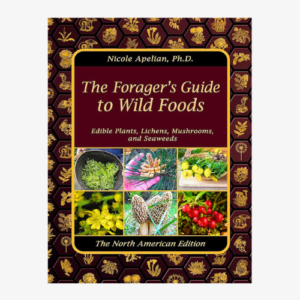 the forager’s guide to wild foods